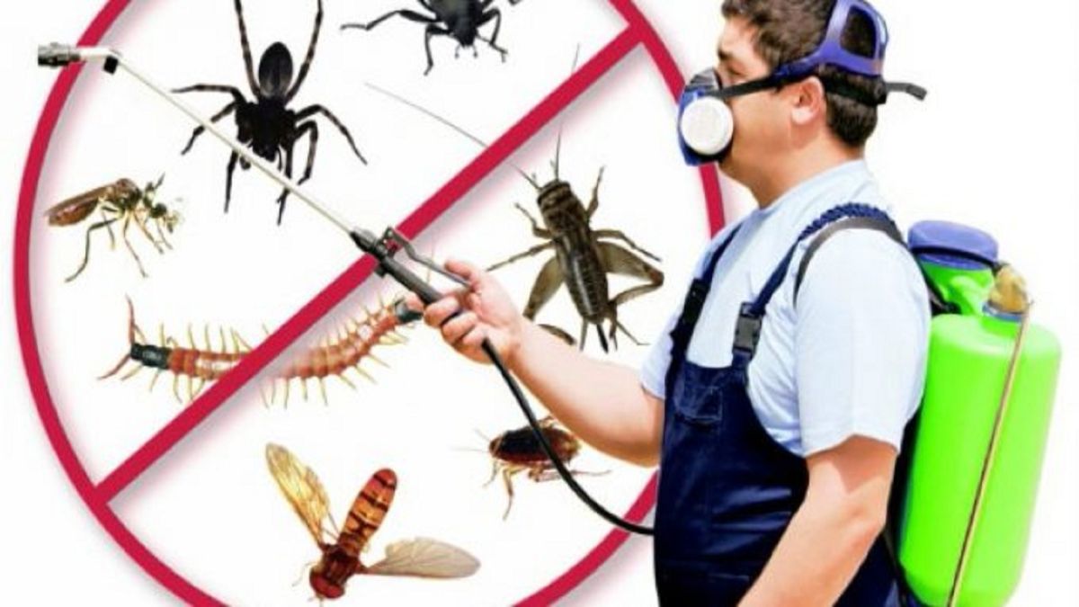 Eskişehir böcek ilaçlama sonrası